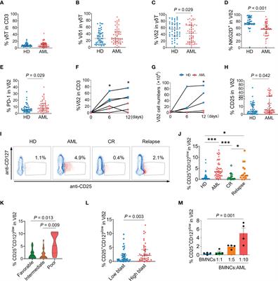 Identification of the immunosuppressive effect of γδ T cells correlated to bone morphogenetic protein 2 in acute myeloid leukemia